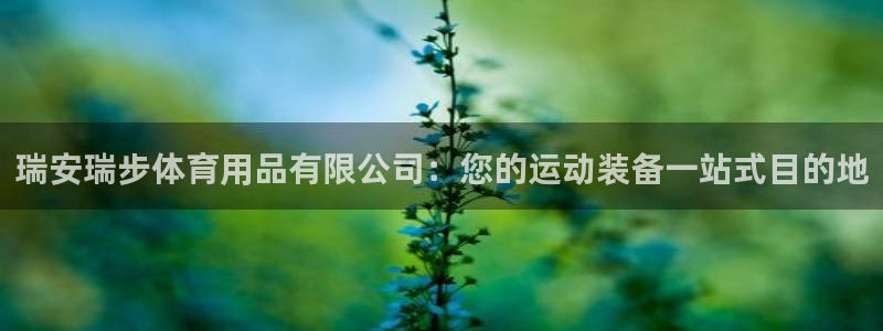 欧陆娱乐平台官网：瑞安瑞步体育用品有限公司：您的运动