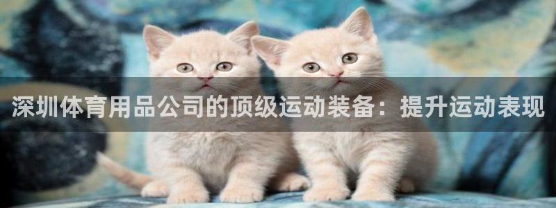 欧陆娱乐能赚钱吗现在：深圳体育用品公司的顶级运动装备