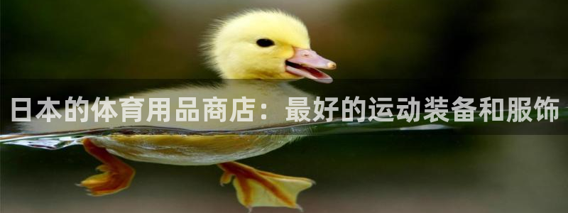 欧陆娱乐官网入口网址：日本的体育用品商店：最好的运动