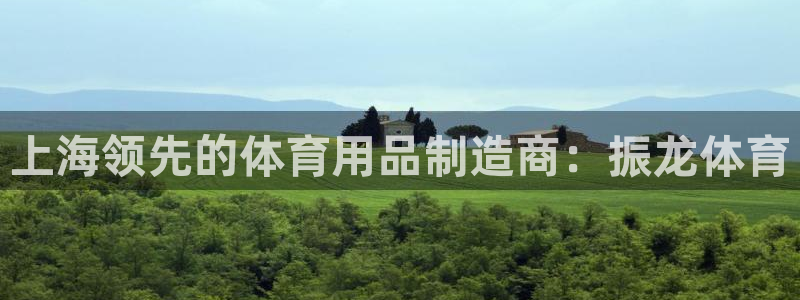 欧陆娱乐平台登录不上怎么办：上海领先的体育用品制造商