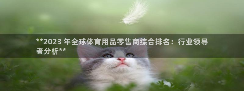 欧陆娱乐官网首页入口：**2023 年全球体育用品零