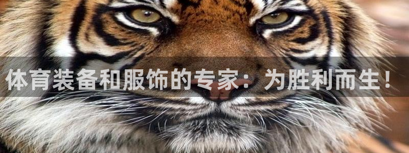 欧陆娱乐平台咋样啊安全吗