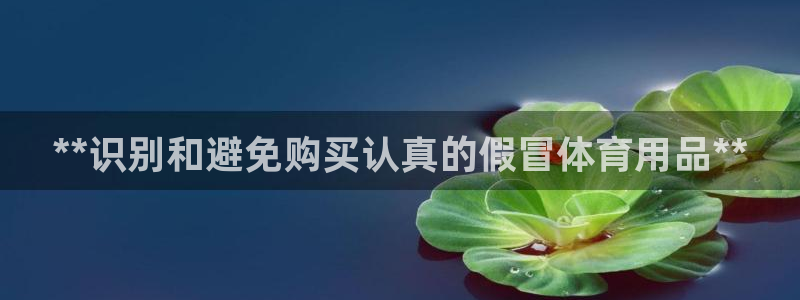欧陆娱乐注册代理：**识别和避免购买认真的假冒体育用