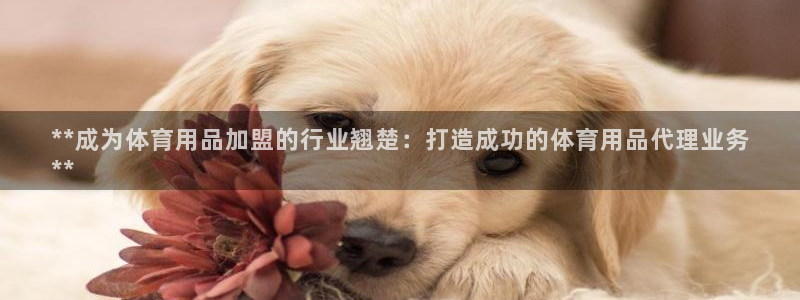 欧陆娱乐息7o777ts=0：**成为体育用品加盟的