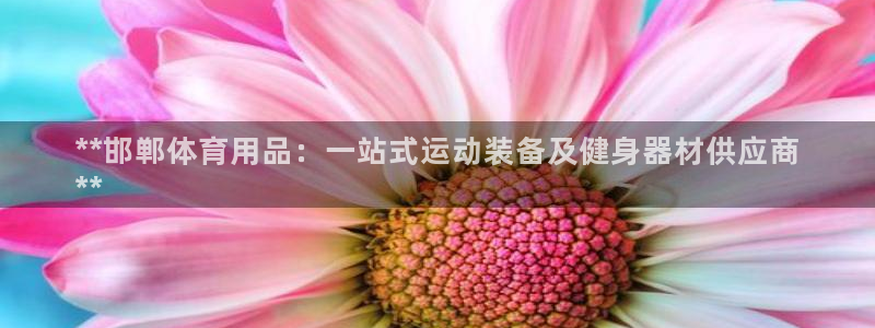 欧陆娱乐平台登录：**邯郸体育用品：一站式运动装备及
