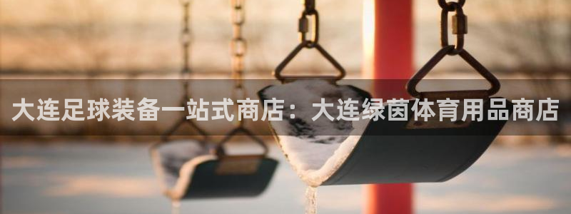 欧陆娱乐app打不开怎么回事儿：大连足球装备一站式商