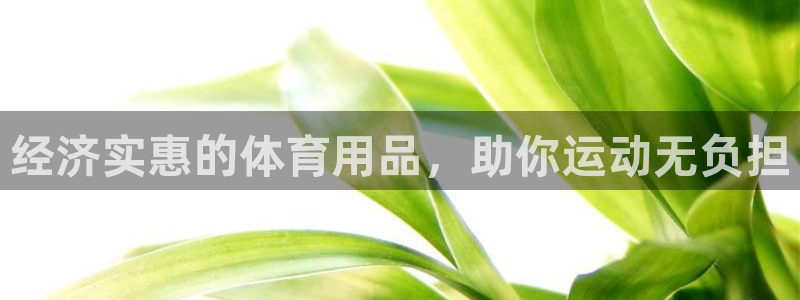 欧陆娱乐注册链接安全吗知乎：经济实惠的体育用品，助你