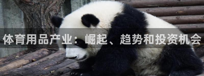 欧陆娱乐官方客服电话：体育用品产业：崛起、趋势和投资
