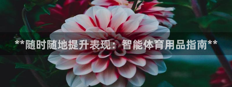 欧陆娱乐官方网站：**随时随地提升表现：智能体育用品
