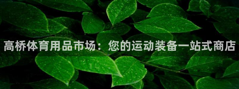 欧陆娱乐官网首页网址：高桥体育用品市场：您的运动装备
