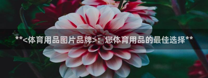 欧陆娱乐官网网址：**<体育用品图片品牌>：您体育用