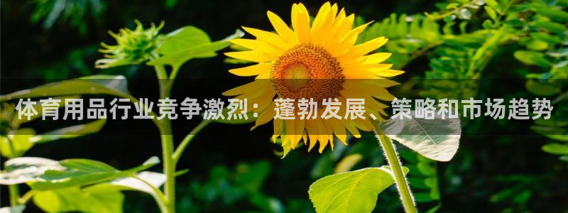 欧陆娱乐里面怎么看打排五
