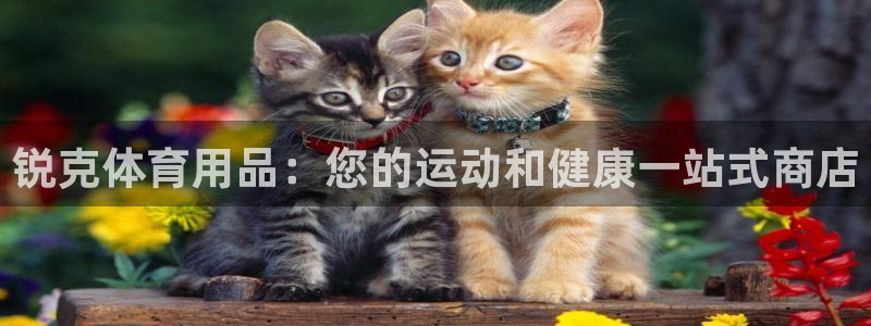 欧陆娱乐平台登录：锐克体育用品：您的运动和健康一站式