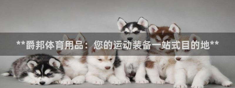欧陆娱乐官网网址是什么：**爵邦体育用品：您的运动装