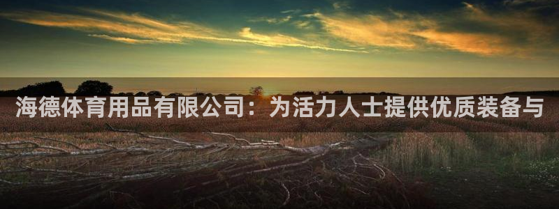 欧陆娱乐平台登陆地址在哪里：海德体育用品有限公司：为