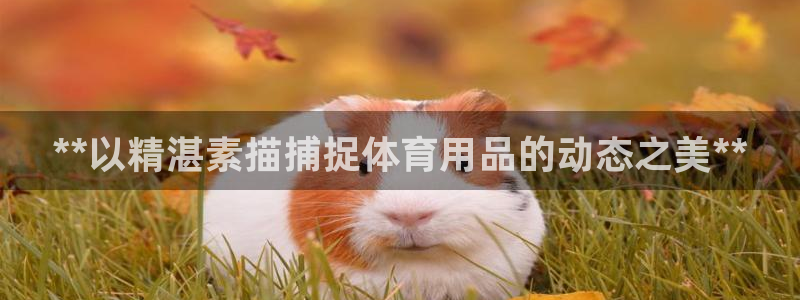 欧陆娱乐平台咋样啊