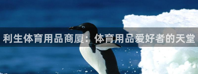 欧陆商城：利生体育用品商厦：体育用品爱好者的天堂