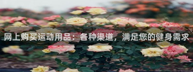 欧陆娱乐官网下载安装苹果：网上购买运动用品：各种渠道，满足您