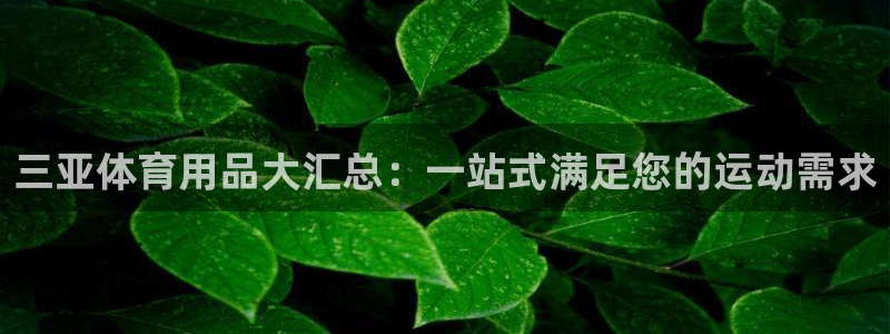 欧陆娱乐是正规平台吗安全吗可靠吗可信吗：三亚体育用品