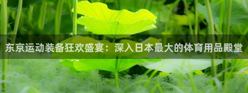 欧陆娱乐的故事有哪些：东京运动装备狂欢盛宴：深入日本