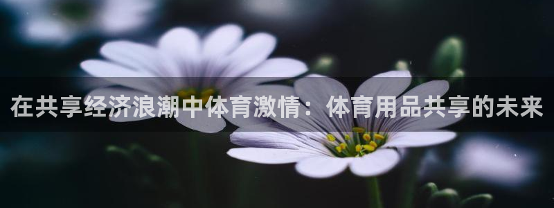 欧陆娱乐注册代理多少钱啊：在共享经济浪潮中体育激情：体育用品