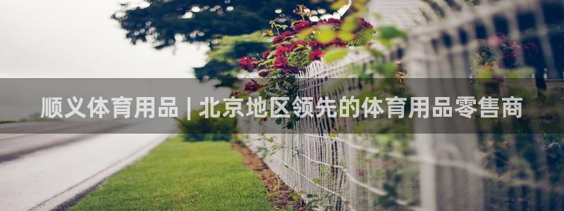 欧陆娱乐代理多少个点位合适：顺义体育用品 | 北京地