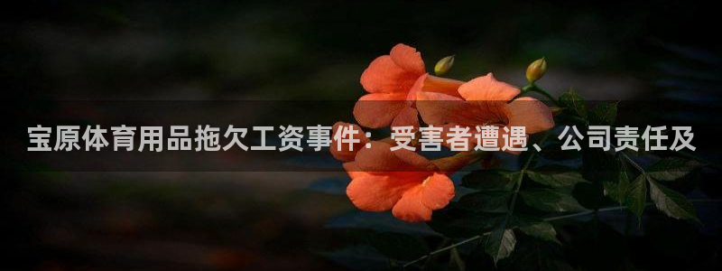 欧陆娱乐怎么注册：宝原体育用品拖欠工资事件：受害者遭