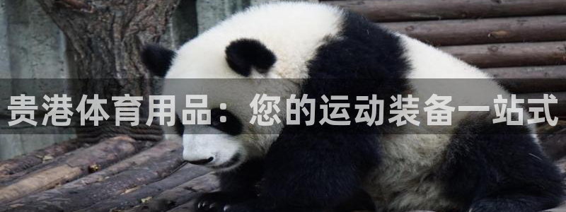 欧陆娱乐是正规平台吗安全吗可靠吗：贵港体育用品：您的