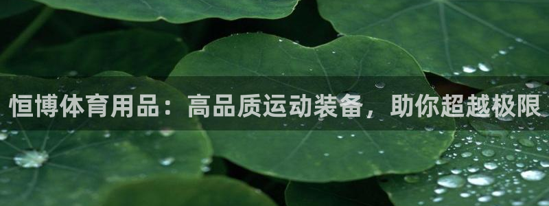 欧陆娱乐平台官网入口：恒博体育用品：高品质运动装备，