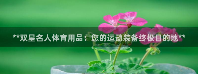 欧陆娱乐注册链接安全吗：**双星名人体育用品：您的运动装备终
