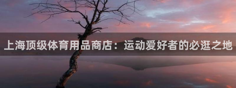 欧陆娱乐合法吗?：上海顶级体育用品商店：运动爱好者的