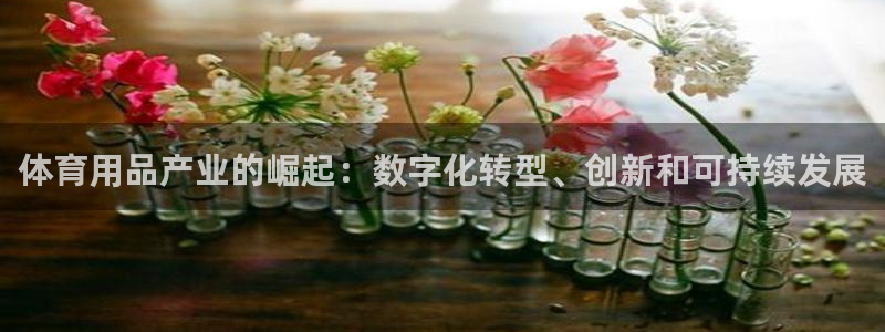 欧陆娱乐注册代理：体育用品产业的崛起：数字化转型、创