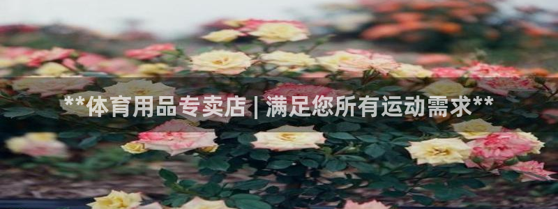 欧陆娱乐官方网站首页：**体育用品专卖店 | 满足您所有运动