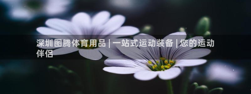 欧陆娱乐百科：深圳图腾体育用品 | 一站式运动装备 