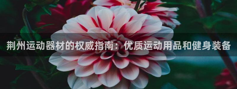 欧陆娱乐平台登录：荆州运动器材的权威指南：优质运动用