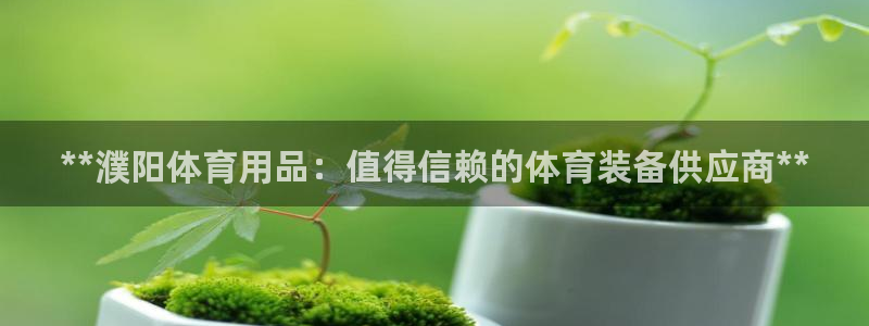 欧陆娱乐登陆官网：**濮阳体育用品：值得信赖的体育装备供应商