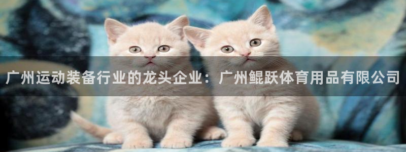 欧陆娱乐登录平台有哪些：广州运动装备行业的龙头企业：
