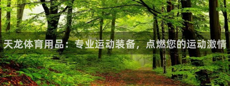 欧陆娱乐总代：天龙体育用品：专业运动装备，点燃您的运