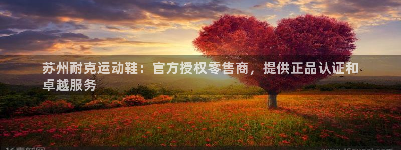 欧陆娱乐注册链接安全吗是真的吗：苏州耐克运动鞋：官方授权零售