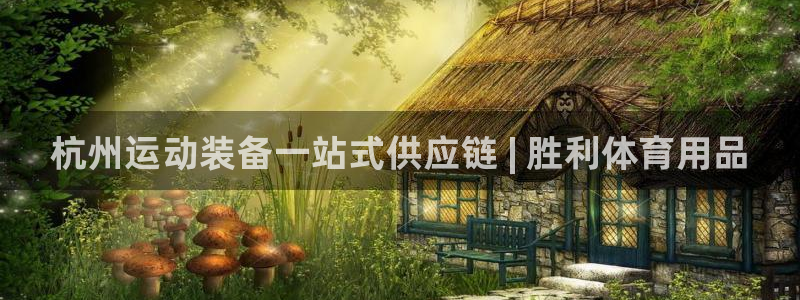 欧陆娱乐线路测速