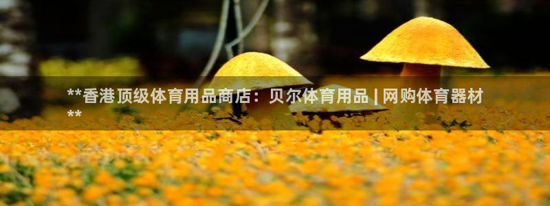 欧陆娱乐平台咋样赚钱的：**香港顶级体育用品商店：贝