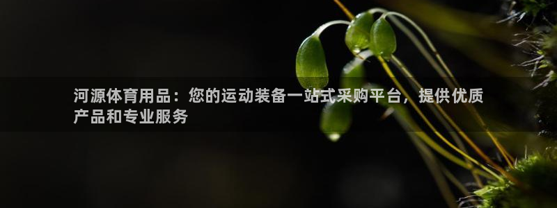 欧陆娱乐挂机怎么玩游戏：河源体育用品：您的运动装备一