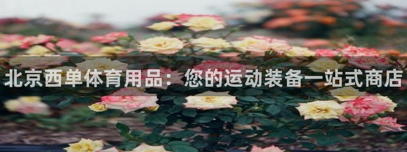 欧陆娱乐代理 贴吧：北京西单体育用品：您的运动装备一站式商店