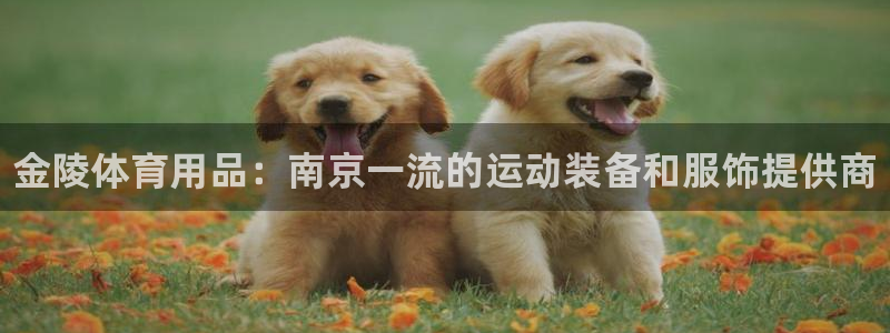 欧陆娱乐平台咋样啊知乎