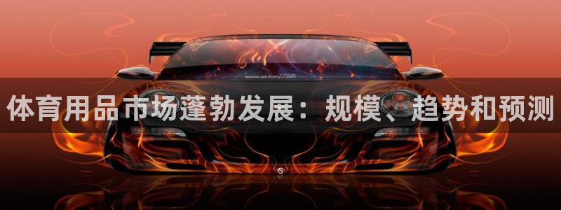 欧陆娱乐平台咋样啊赚钱：体育用品市场蓬勃发展：规模、趋势和预