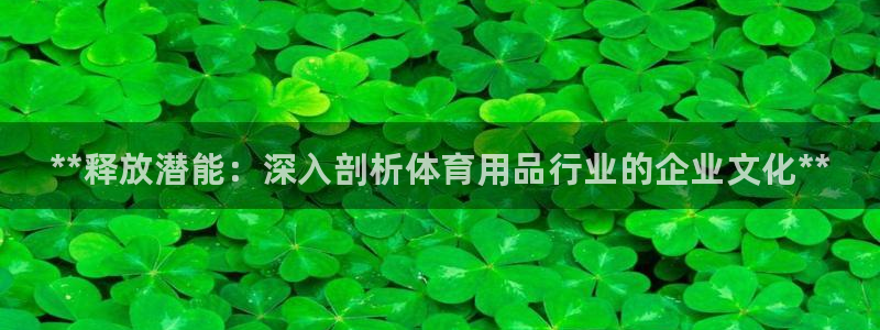 欧陆娱乐平台登录不上去：**释放潜能：深入剖析体育用品行业的