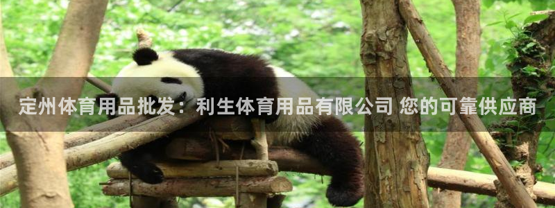 欧陆娱乐图片：定州体育用品批发：利生体育用品有限公司