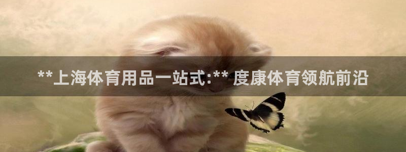 欧陆娱乐总代理：**上海体育用品一站式:** 度康体