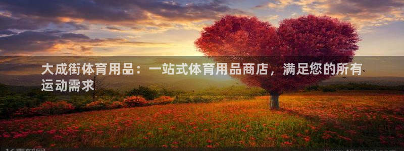 欧陆娱乐是真的假的：大成街体育用品：一站式体育用品商