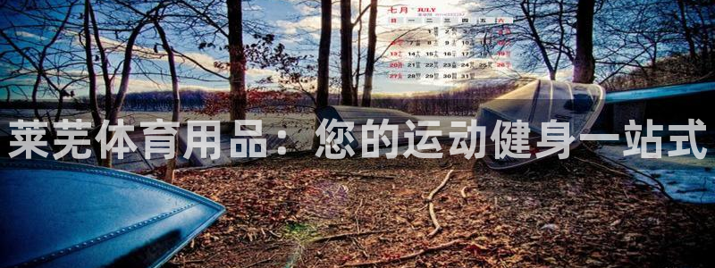 欧陆娱乐试玩官网：莱芜体育用品：您的运动健身一站式